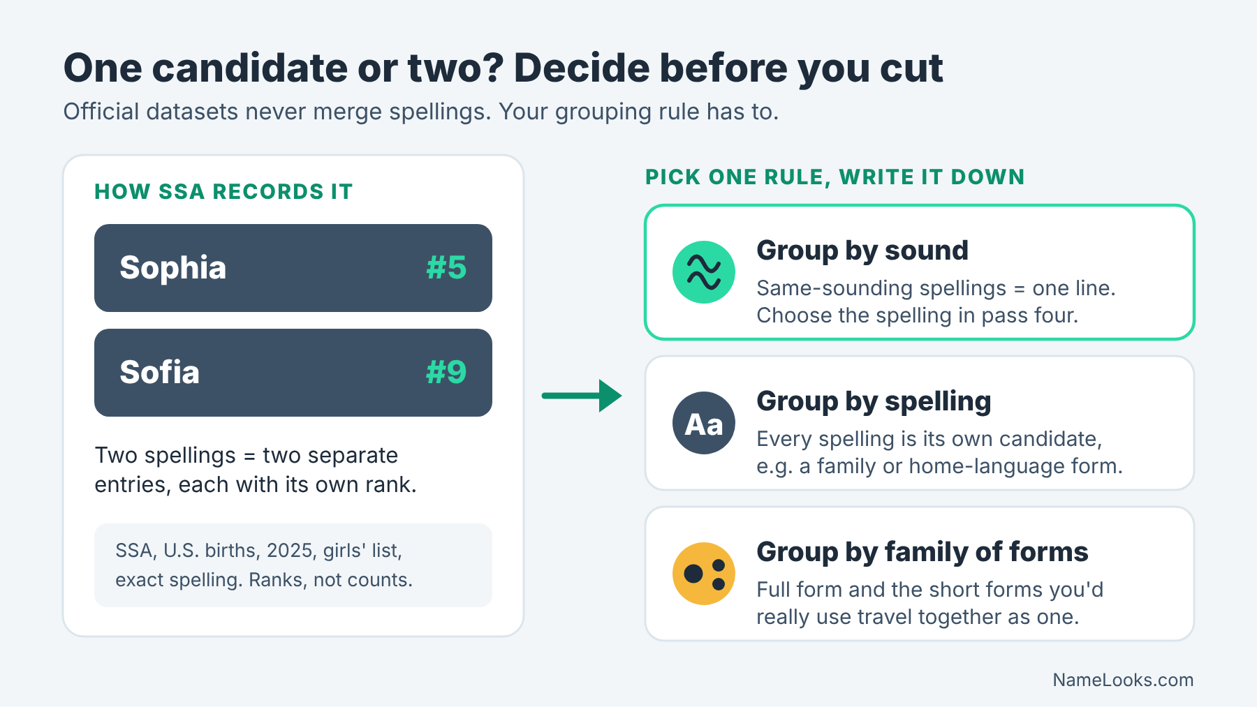 SSA 2025 girls' ranks for Sophia and Sofia next to three grouping rules: by sound, by spelling, by family of forms