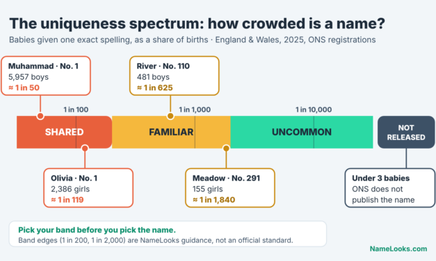 Popular vs Uncommon Name: How Much Uniqueness Do You Actually Want?